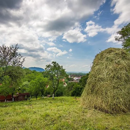 Pensiunea Tinelu Brasov 3*